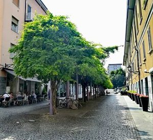 Il corso principale