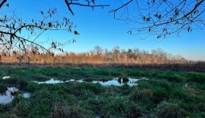 Parco della Besozza